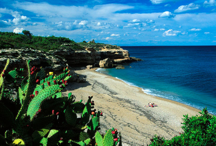 BEACHES