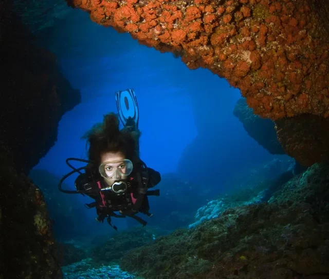 Descubre la belleza submarina de la reserva de la Biosfera de l'Ametlla de Mar.